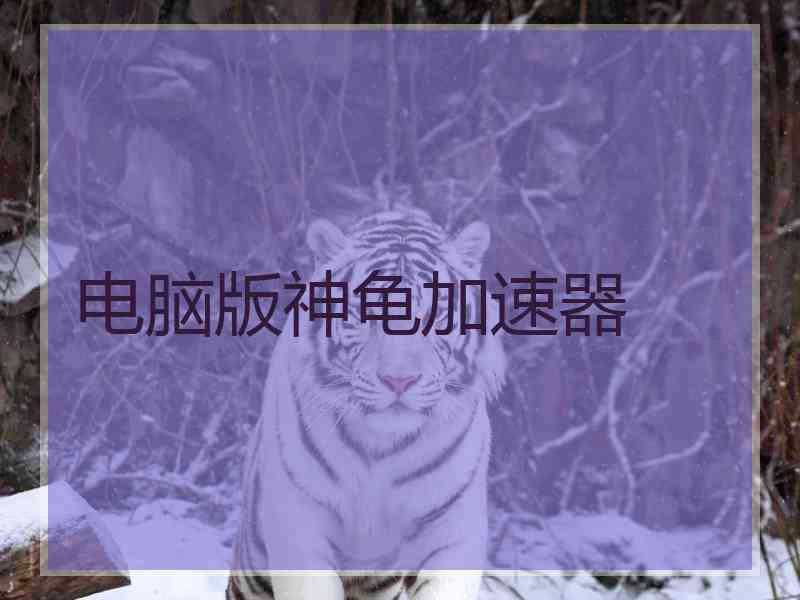 电脑版神龟加速器