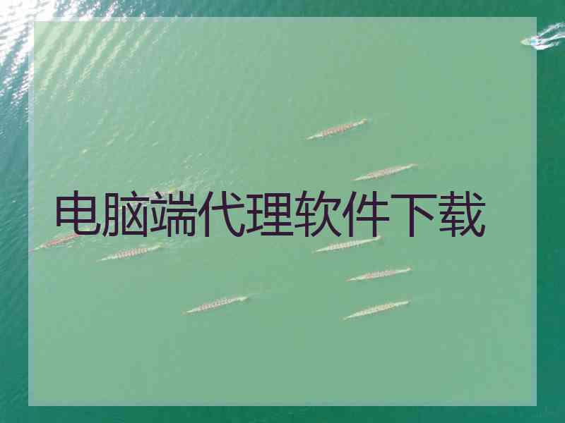 电脑端代理软件下载