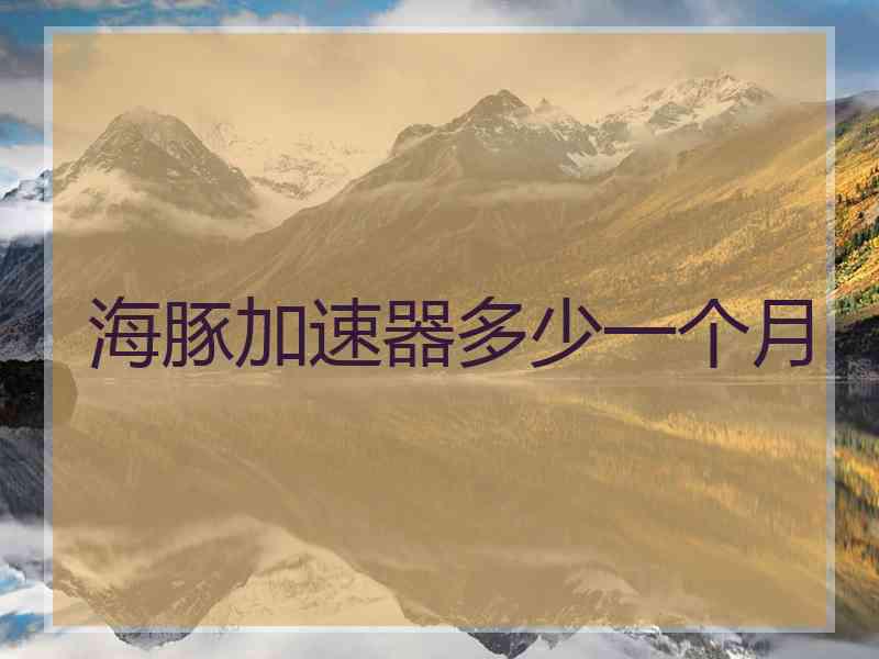 海豚加速器多少一个月