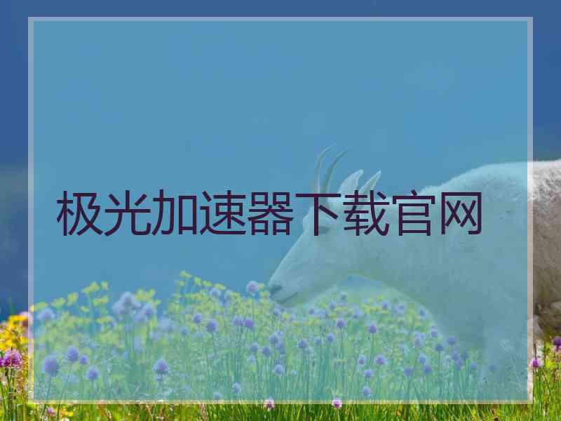 极光加速器下载官网