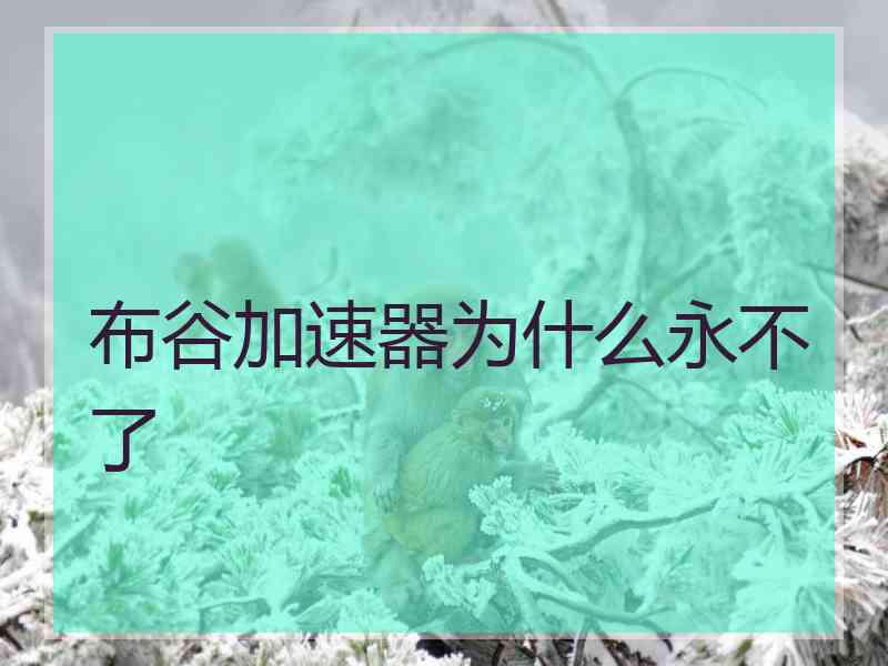 布谷加速器为什么永不了