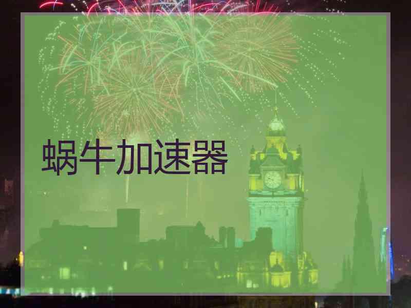蜗牛加速器