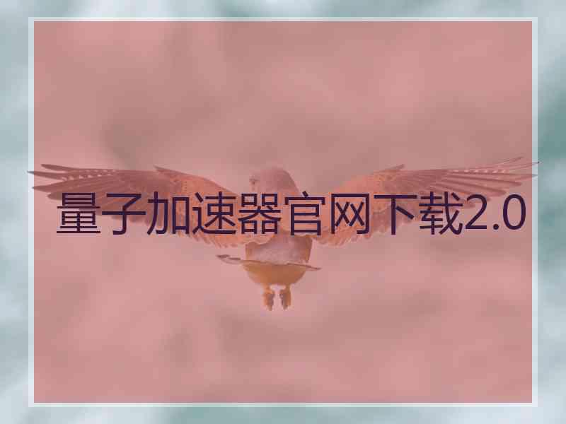 量子加速器官网下载2.0